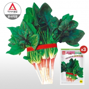 아시아종묘/시금치종자씨앗 수시로시금치(20gx3)