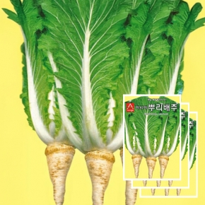 아시아종묘/배추씨앗종자 아시아뿌리배추(2,000립)x3