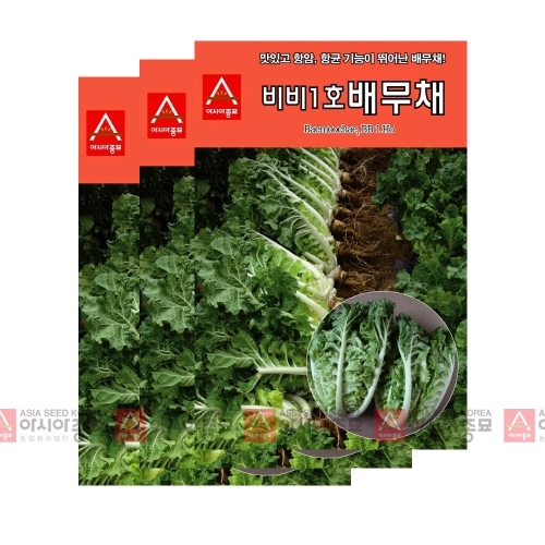 아시아종묘/배추씨앗종자 비비1호 배무채(200립x3)