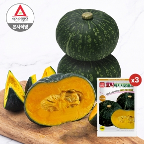 아시아종묘 단호박씨앗종자 아지지망골드(40립x3)