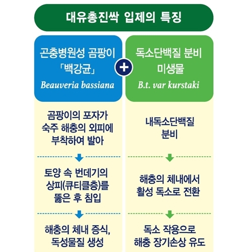 아시아종묘 대유 총진싹 입제 1.5kg - 토양속 총채벌레와 진딧물을 한번에!! *꼬꼬마양배추 수경재배용*