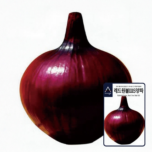 아시아종묘 양파씨앗종자 레드원볼1115(2.5g)