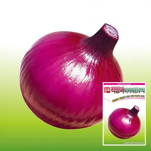 아시아종묘 양파씨앗종자 아시아천주적(5g)