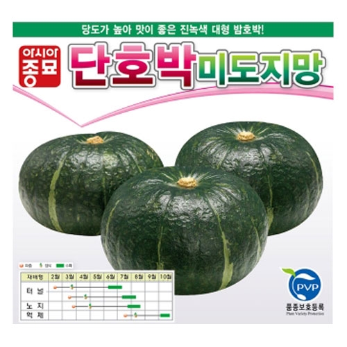 (아시아종묘/단호박씨앗) 미도지망 400립, 2000립