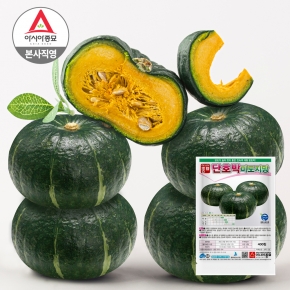 (아시아종묘/단호박씨앗) 미도지망 400립, 2000립