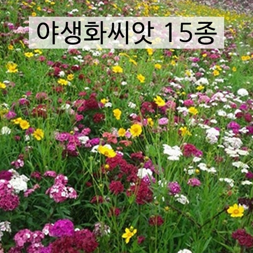 (아시아종묘/야생화씨앗 혼합종자)야생화 15종 모음(100g)