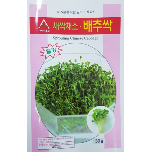 (아시아종묘/새싹씨앗) 배추싹(30g,1kg) 새싹채소