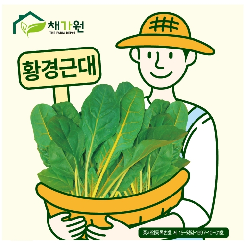 아시아종묘/근대씨앗종자 황경근대, 황근대(250g)