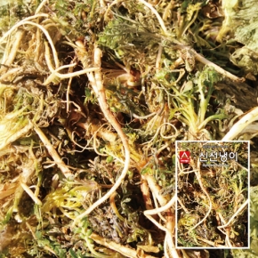 아시아종묘/냉이종자씨앗 신선 냉이 (3g)