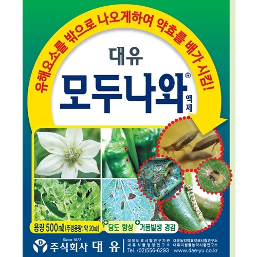 대유 모두나와(500ml) - 고추 토마토 총채벌레 진딧물 유인제