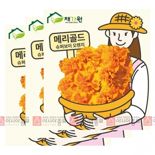 (아시아종묘/씨앗)고급꽃씨 메리골드 마리골드 슈퍼보이 오렌지(20립X3)서광꽃 B101