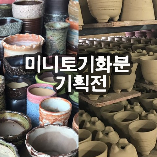 (아시아종묘/화분/국내산)경기도여주생산 미니토기화분 기획전