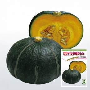 (아시아종묘/단호박씨앗종자) 만냥에이스(20립)