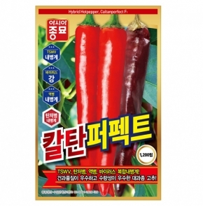 아시아종묘 고추씨앗종자 칼탄퍼펙트(1200립)