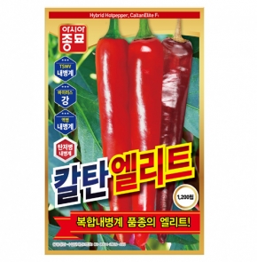 아시아종묘 고추씨앗 칼탄엘리트1200립