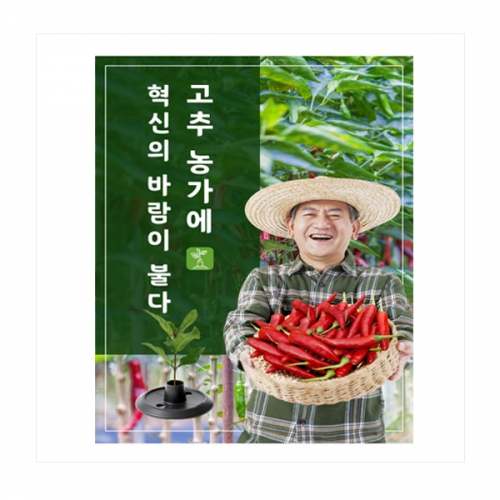 (아시아종묘/농업용품)탄저병 멀칭닥터(3개,10개,20개)세트 *고추,가지,오이,토마토,모종* D13