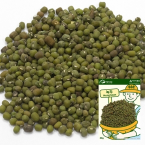 아시아종묘 콩씨앗종자 녹두(30g)