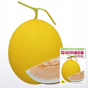 아시아종묘 멜론씨앗종자 아시아골든볼(100립)