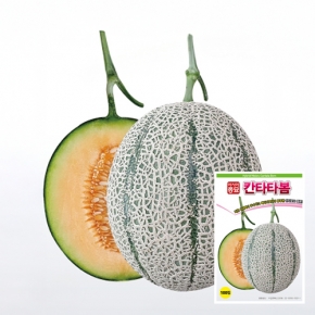 아시아종묘 멜론씨앗종자 칸타타봄(100립)