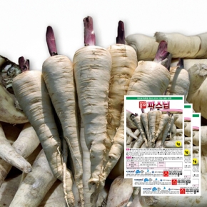 아시아종묘 파스닙씨앗종자 설탕당근-파스닙(1g&times;3)