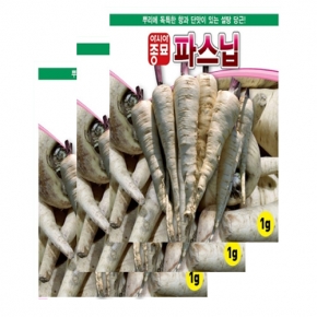 아시아종묘 파스닙씨앗종자 설탕당근-파스닙(1g×3)