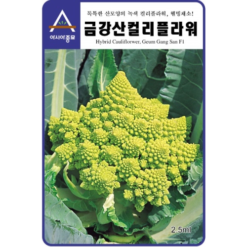 아시아종묘 컬리플라워씨앗 금강산70-컬리플라워(2500립)