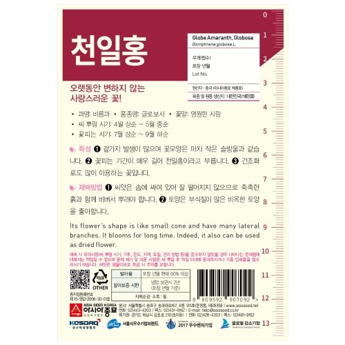 아시아종묘 꽃씨앗 천일홍 1kg