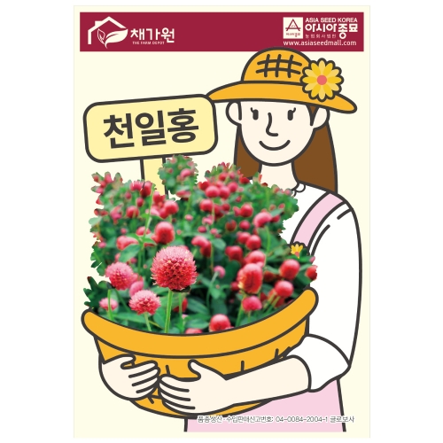 아시아종묘 꽃씨앗 천일홍 1kg