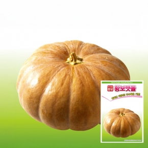 아시아종묘 호박씨앗종자 황보맷돌(2500립)