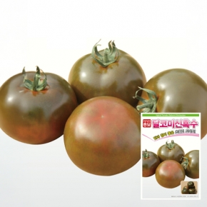 토마토씨앗종자 달코미신흑수 토마토(10립,10립X3,100립,1000립)