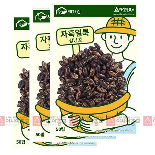 아시아종묘 콩씨앗종자 자흑얼룩강낭콩 (50립x3)