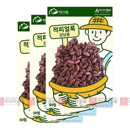 아시아종묘 콩씨앗종자 적피얼룩강낭콩 (50립x3)