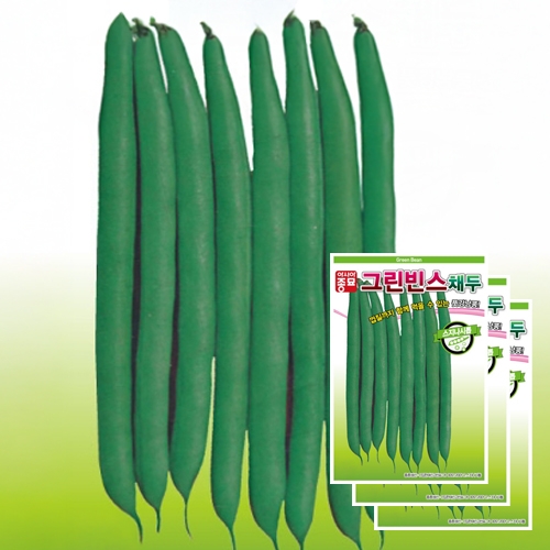 아시아종묘 콩씨앗종자 그린빈스 스지나시톱 채두(10gx3) 껍질채 먹는 풋강낭콩