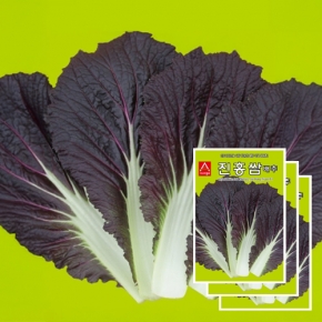 Jin Hong Ssam