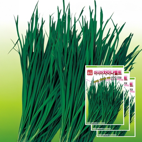 아시아종묘 부추종자씨앗 차이나벨트(20gx3)
