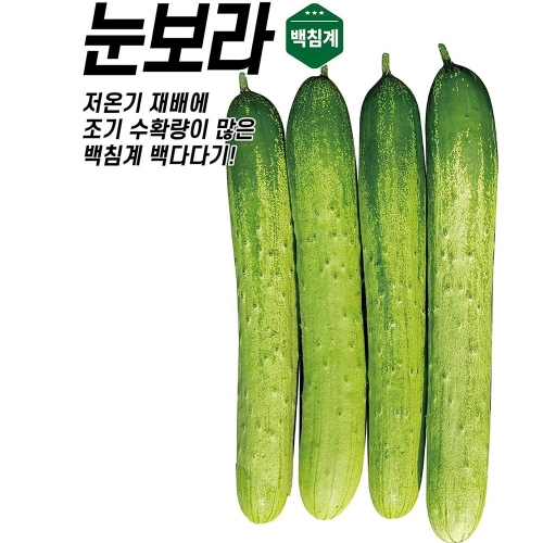 아시아종묘 오이씨앗종자 눈보라(500립)