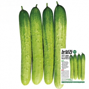 아시아종묘 오이씨앗종자 눈보라(500립)