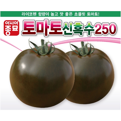 아시아종묘 토마토씨앗종자 토마토신흑수250(100립)