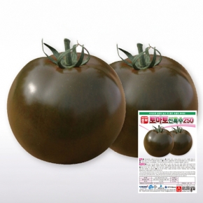 아시아종묘 토마토씨앗종자 토마토신흑수250(100립,1000립)