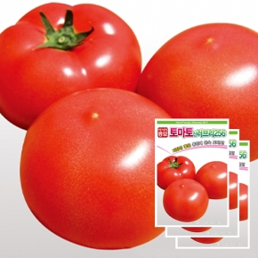 토마토씨앗종자 신러브리256(20립x3)