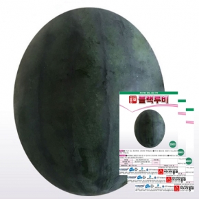 아시아종묘 수박씨앗종자 블랙루비(10립x3)