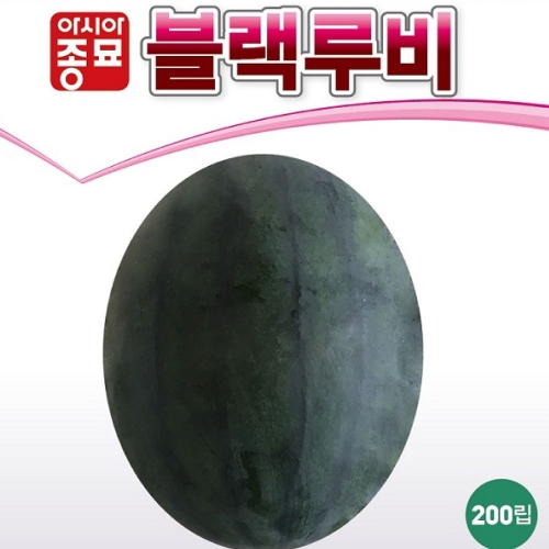 아시아종묘 수박씨앗종자 블랙루비 수박(10립,10립x3,200립)