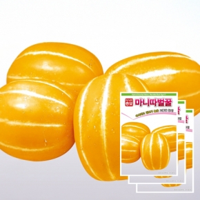 아시아종묘 참외씨앗종자 마니따벌꿀(50립x3)