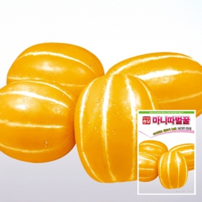 아시아종묘 참외씨앗종자 마니따벌꿀 (500립)