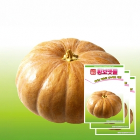 아시아종묘 호박씨앗종자 황보맷돌 25립x3개