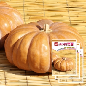 아시아종묘 호박씨앗종자 아시아맷돌호박(25립x3)