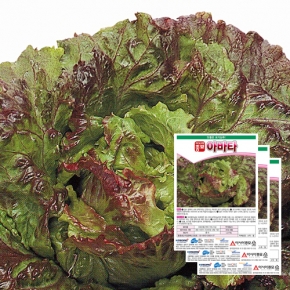 아시아종묘 상추종자씨앗 아바타 상추(1000립x3)