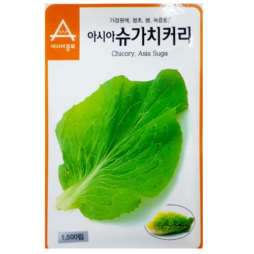 아시아종묘 치커리씨앗 아시아슈가치커리(1500립,1500립x3)