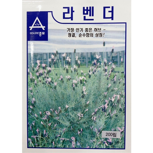 아시아종묘 허브씨앗종자 라벤더(200립,200립x3)