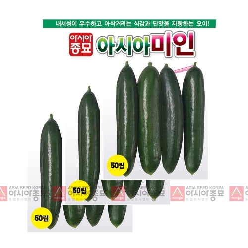 아시아종묘 오이씨앗종자 아시아미인오이 (50립x3)